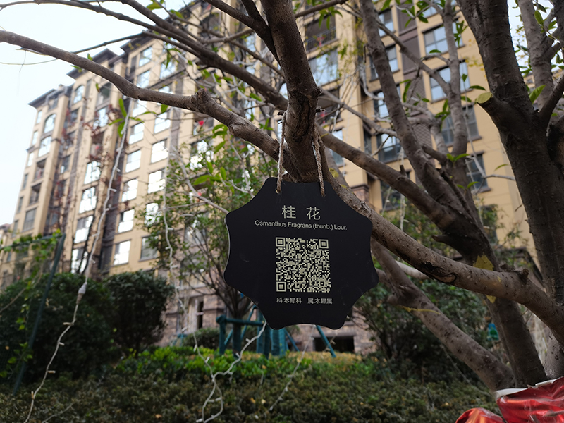 小區戶(hù)外樹(shù)名牌